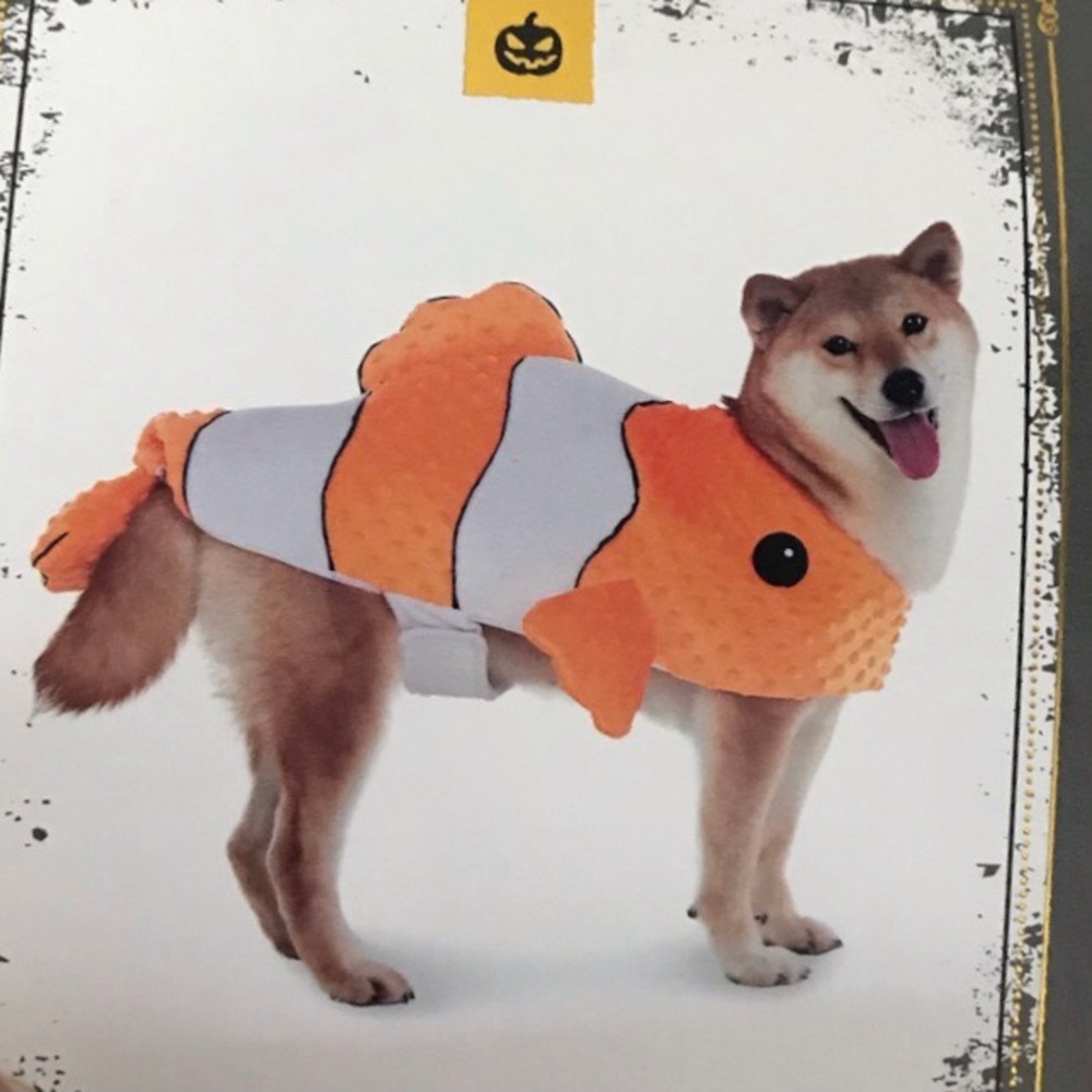 Spooky Night Clownfish Dog Halloween Costume Size Small